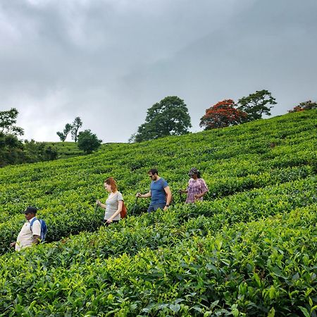 Amber Dale Luxury Hotel & Spa, Munnar Exterior foto
